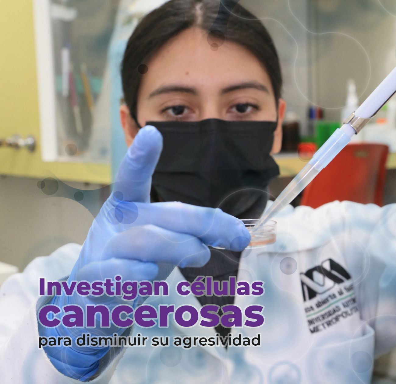 Portada web semanario