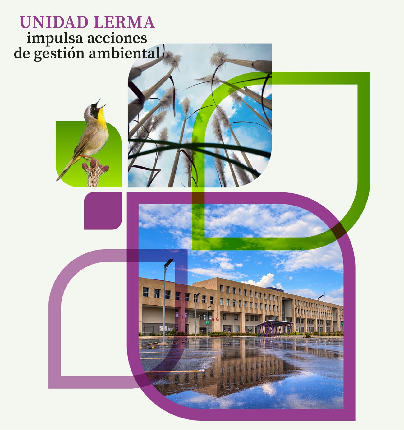 Portada web semanario