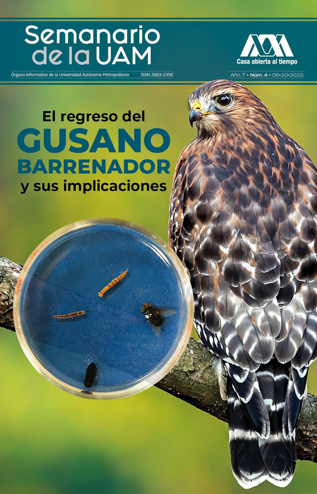 Portada semanario